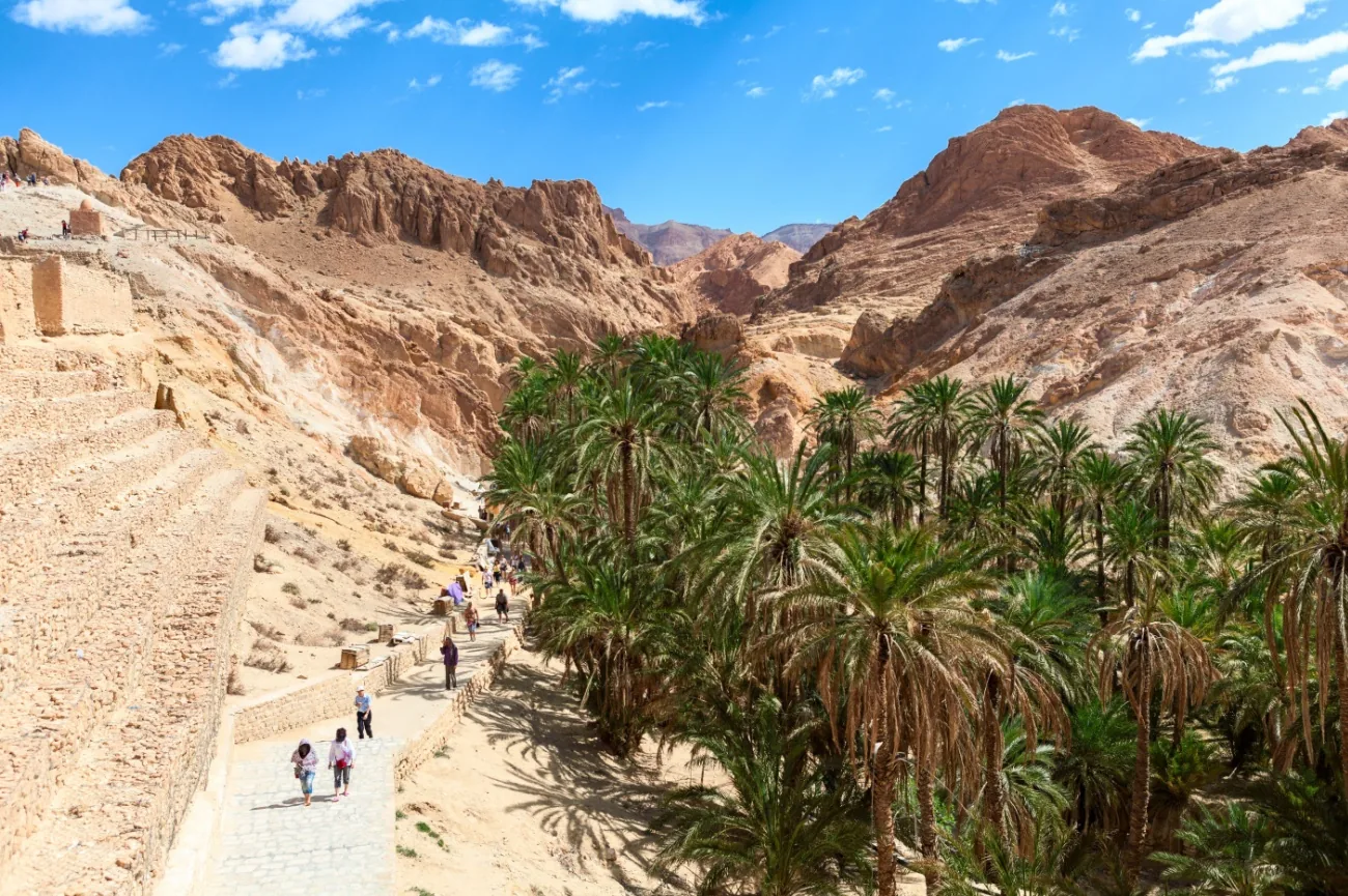 A mountain oasis in the Tozeur region, a palm grove set between sandstone cliffs